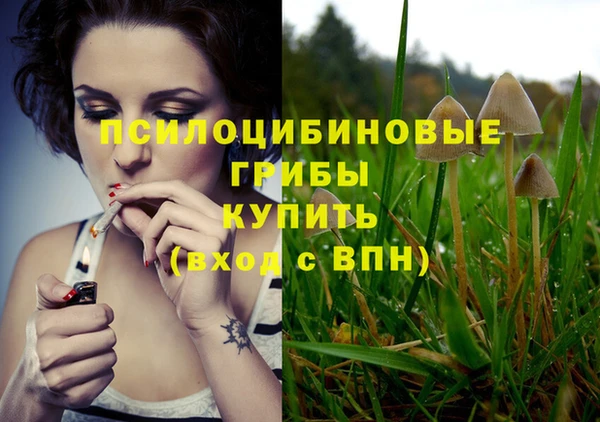 таблы Заводоуковск