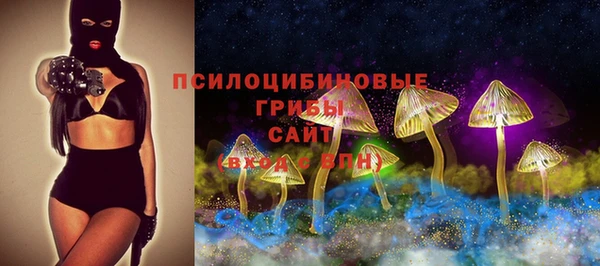 гидра Покров