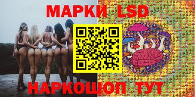 ПСИЛОЦИБИНОВЫЕ ГРИБЫ Краснодар