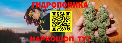 ПСИЛОЦИБИНОВЫЕ ГРИБЫ Краснодар