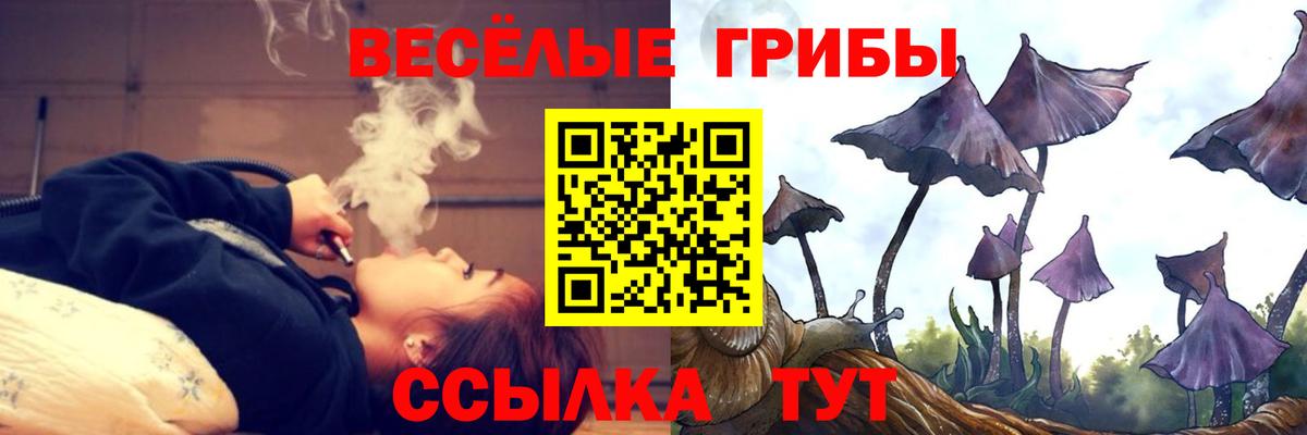 Протвино  Галлюциногенные грибы мицелий  Галлюциногенные грибы Psilocybe  Вход с VPN 